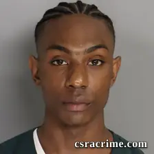 Willie Williams booking photo