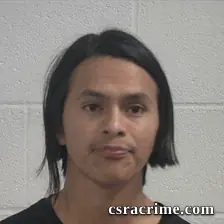 Wilson Domingo booking photo
