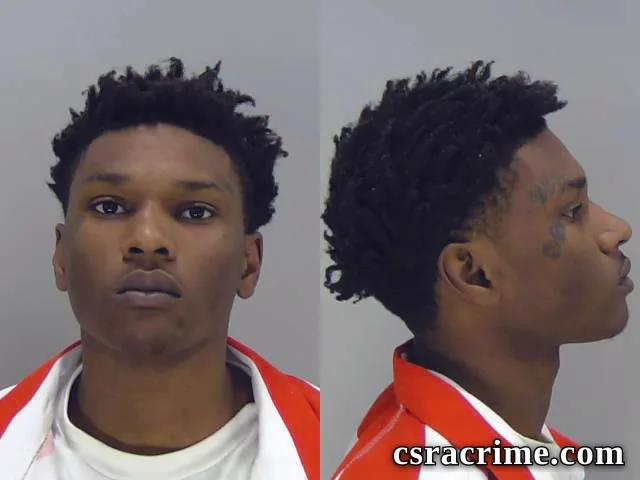 Wyzier Holt booking photo