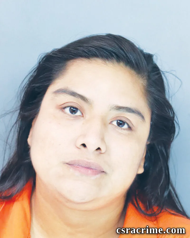 Yajaira Colmenares Meneses booking photo