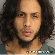 Yaniel Silva booking photo