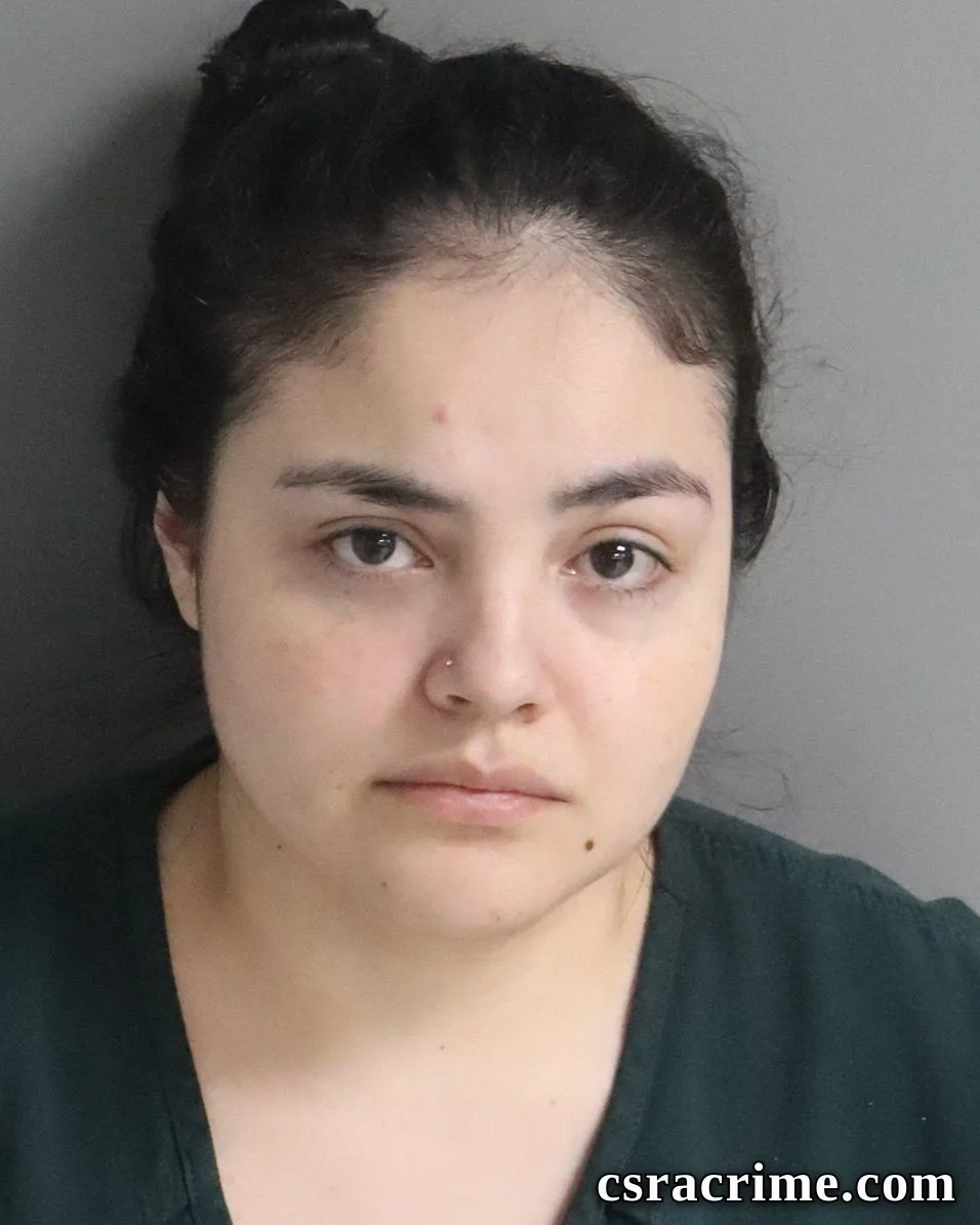Yenifer Ramirez-Sanchez booking photo