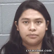 Yesenia Garnica Santiago booking photo