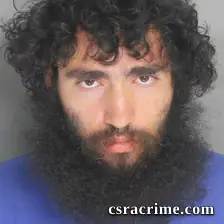 Yeshaya Sholomson booking photo