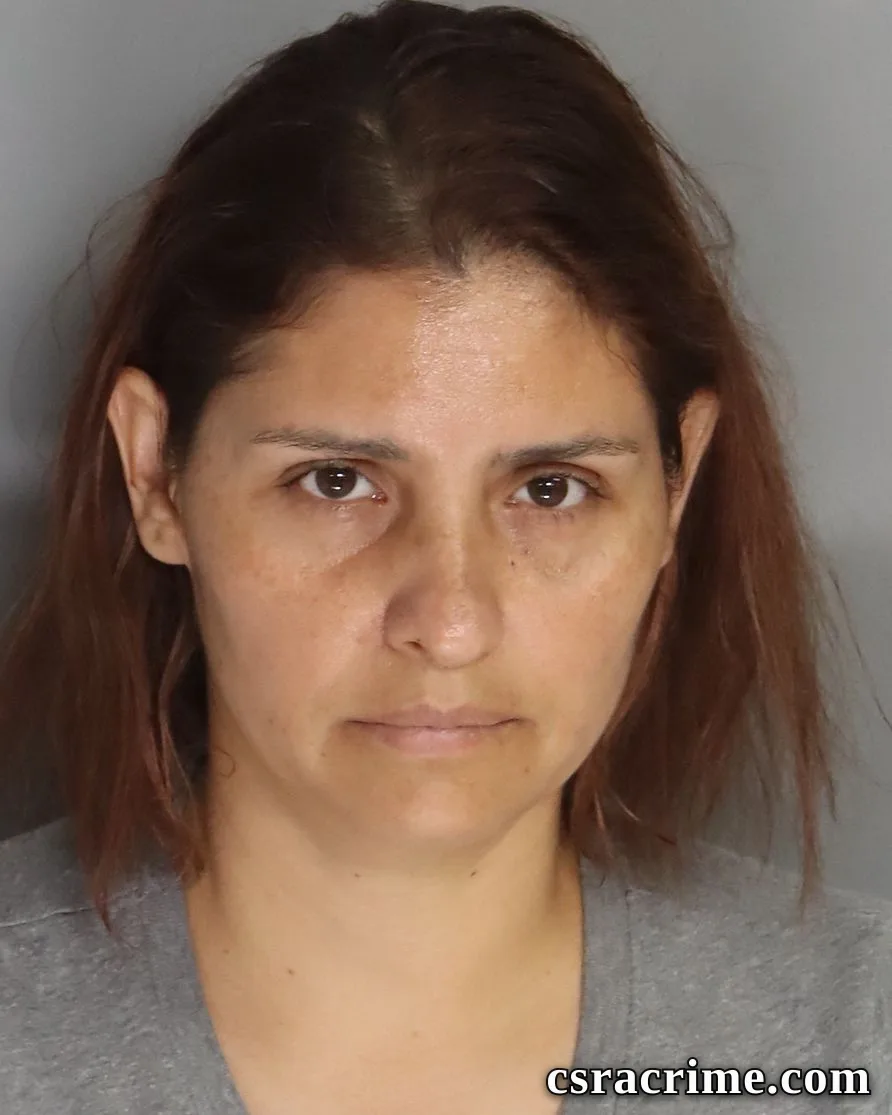 Yolanda Garcia Patlan booking photo