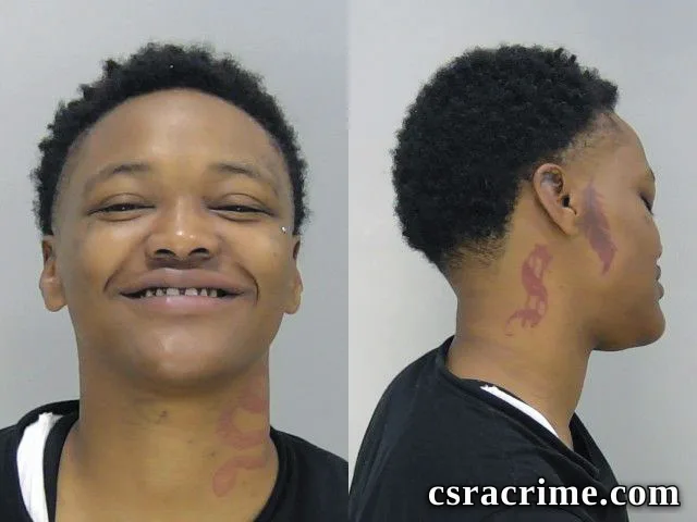 Zalundria Henry booking photo