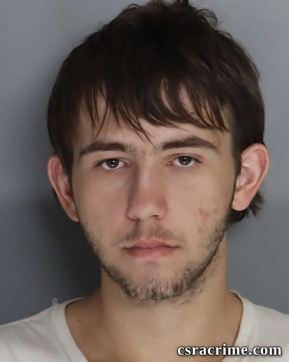 Zander Nelson booking photo