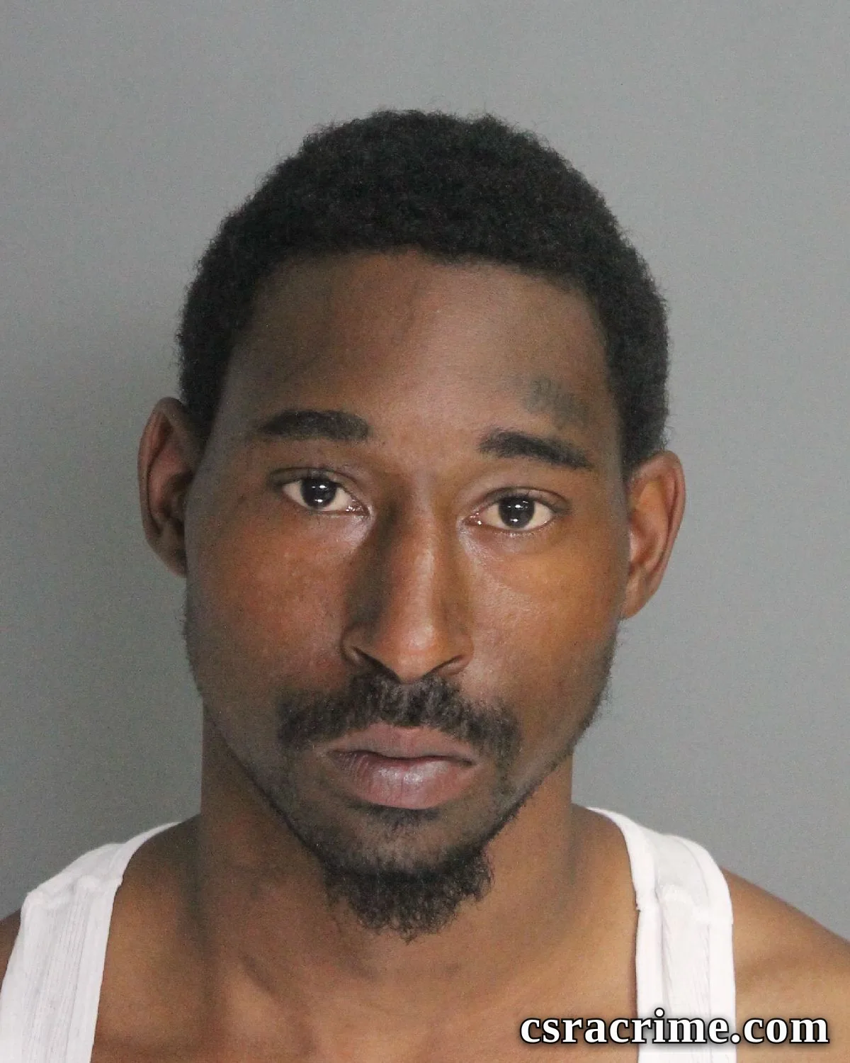Zaylan Paige booking photo