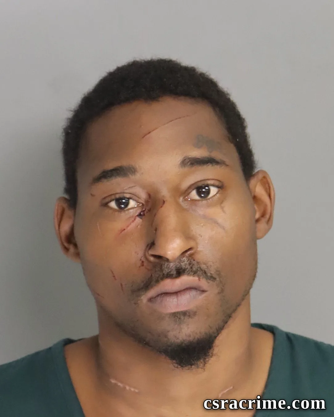 Zaylan Paige booking photo
