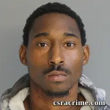 Zaylan Paige booking photo