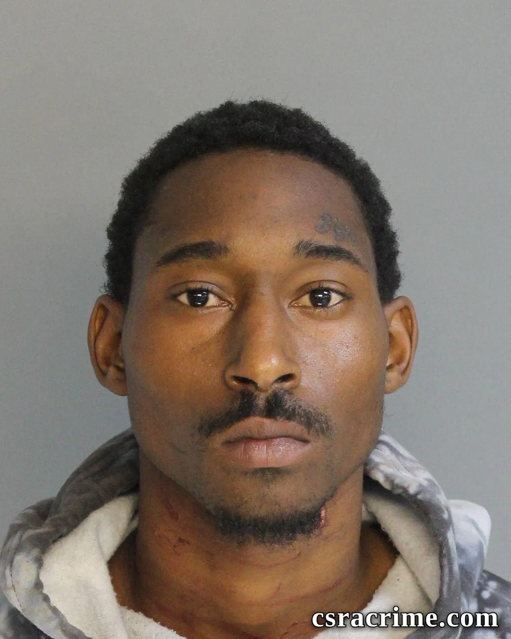Zaylan Paige booking photo