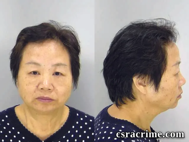 Zhi Ye booking photo