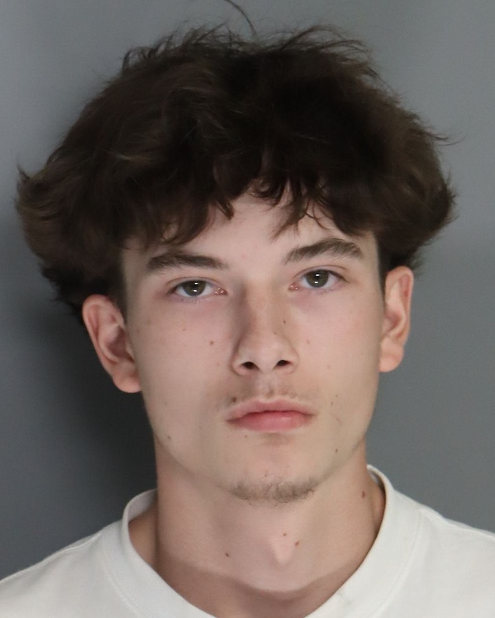 Booking photo of Aiden Nguyen